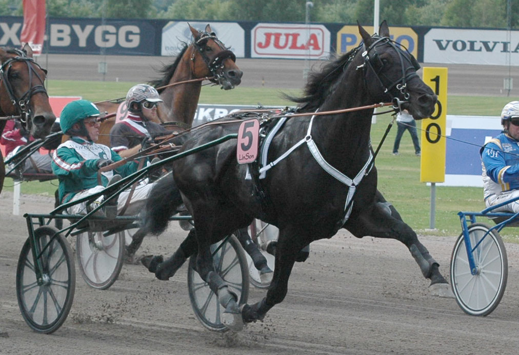 Orecchietti hade en otrolig steglängd samt ett lätt vägvinnande trav, han nästan svävade över marken. Foto; A.Lindblom